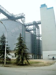 玉米鋼板倉 玉米鋼板倉